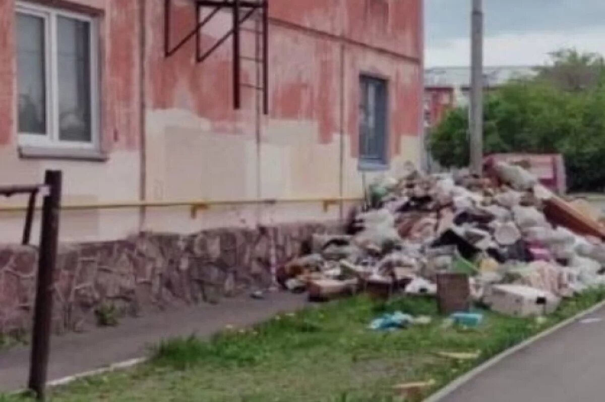    Когда вывезут мусор, пока неизвестно.