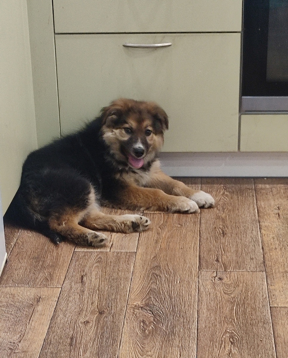 Мальчик в стрессе, прижался к углу кухни