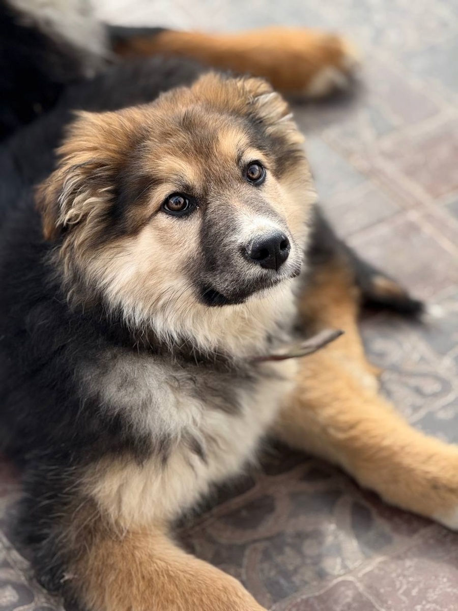 Ну красавец!