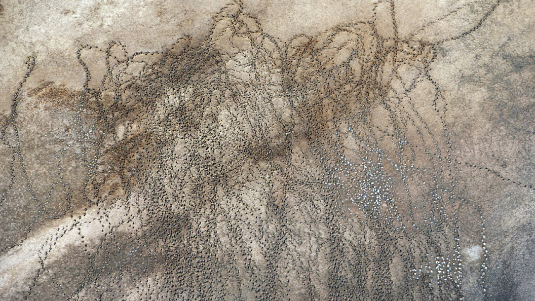    Serguei Fomine/Russian Look/Globallookpress