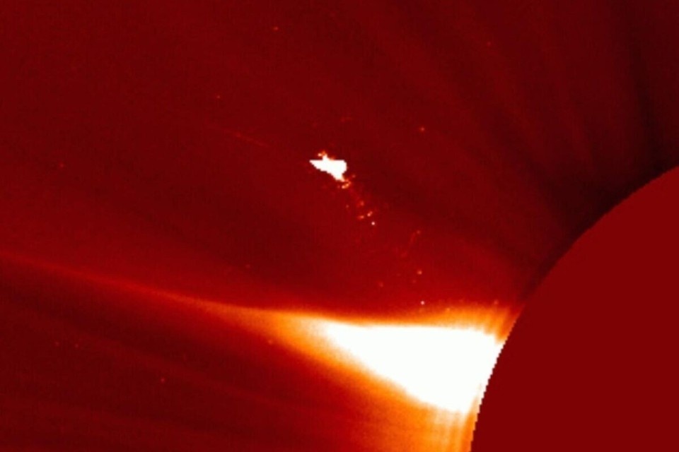 Krugozor / kp / 25.05.2025 «Птица над Солнцем»