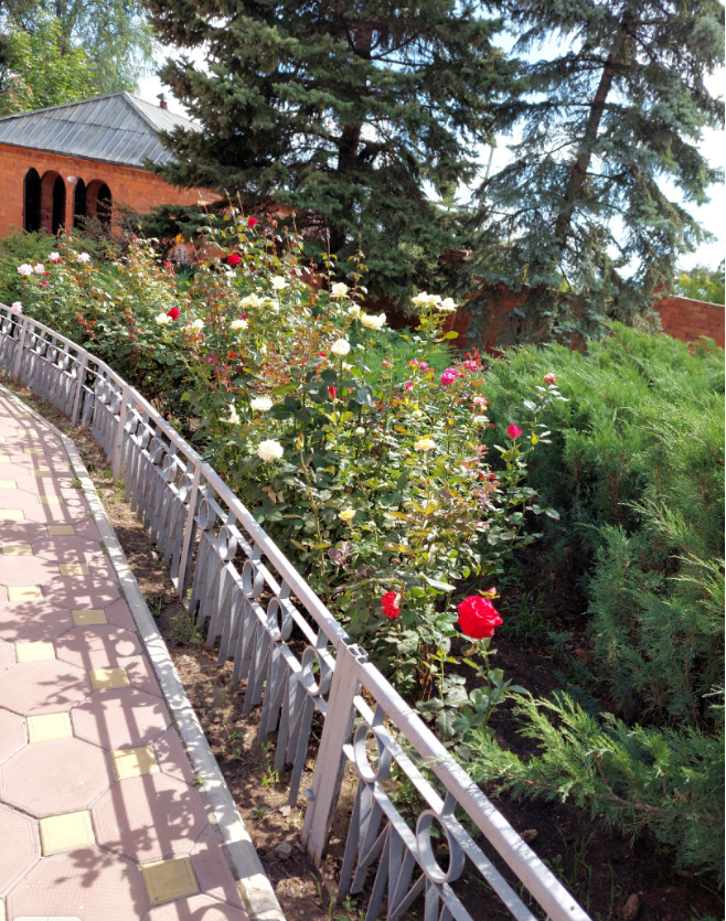 Фото автора