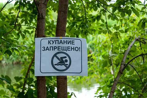    Фото: lenta.ru Павел Евсеев