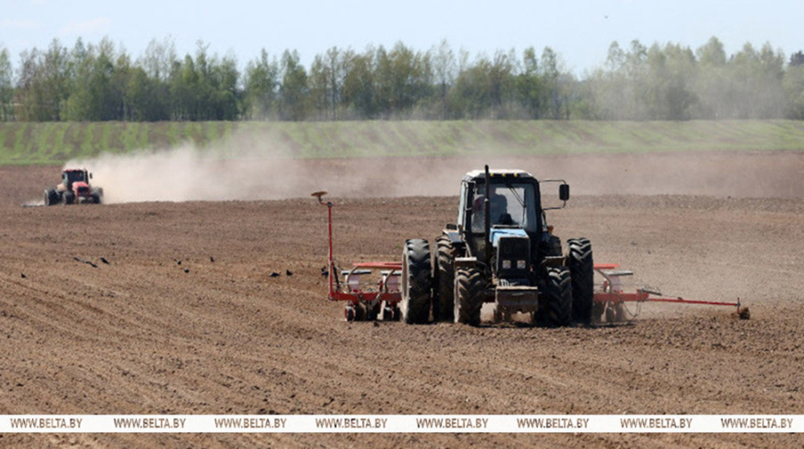    В Беларуси завершили сев яровых и кукурузы