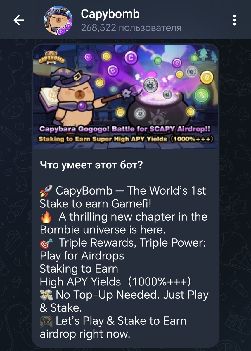 Официальный бот CapyBomb. 