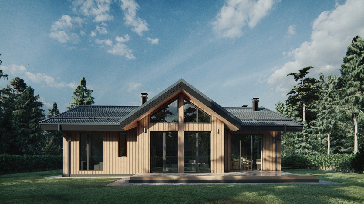 Перспектива Вид 1