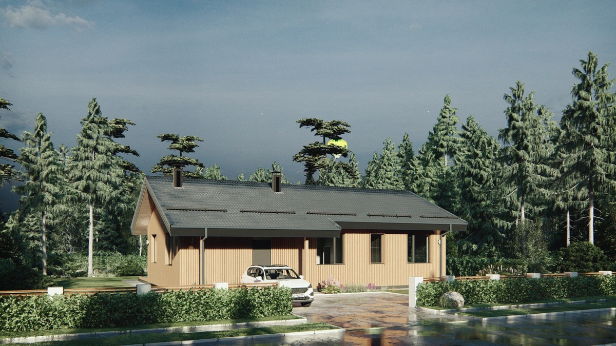 Перспектива Вид 2