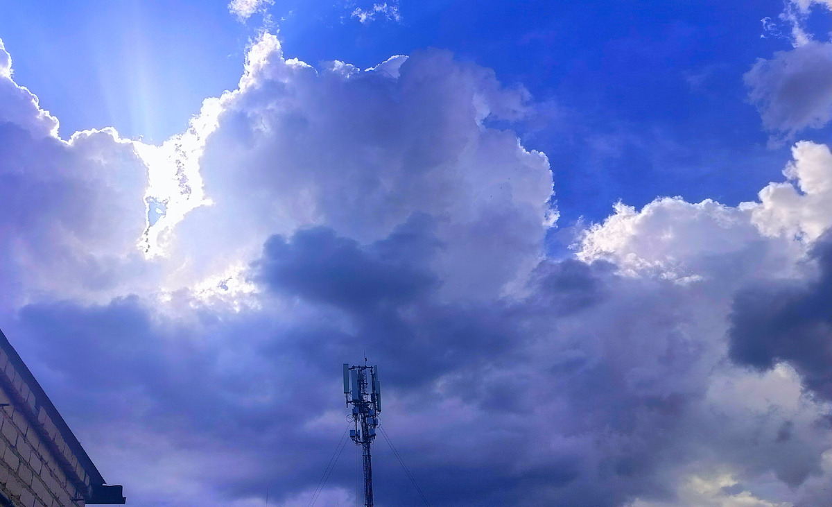 Кнопка «Ожидания» включает опцию «Разочарование». —  Кристина Кашкан,  белорусская писательница.