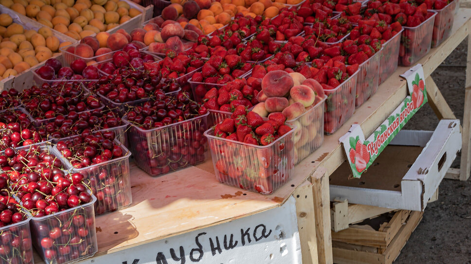 Фото: Татьяна Горд / Коммерсантъ