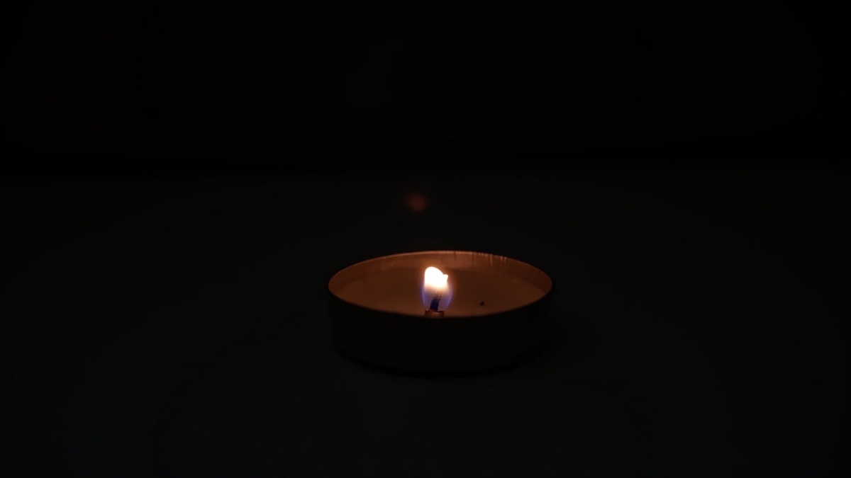    Фото: архив progorod