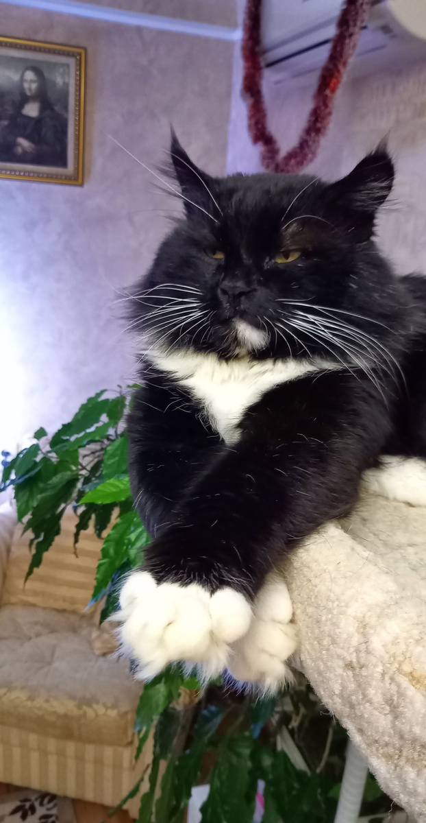 Фото автора.