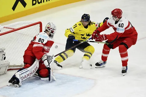 Швеция - Дания, из открытых источников в Сети 