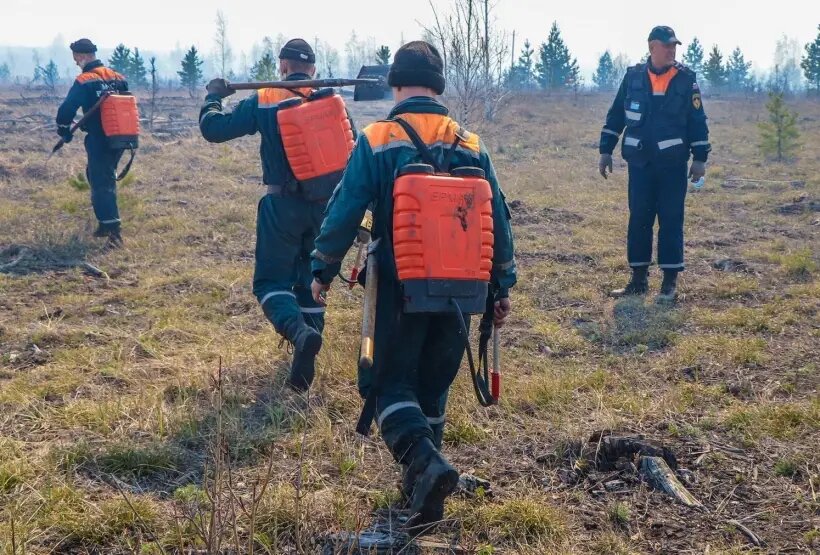     © РИА Новости. МЧС РФ