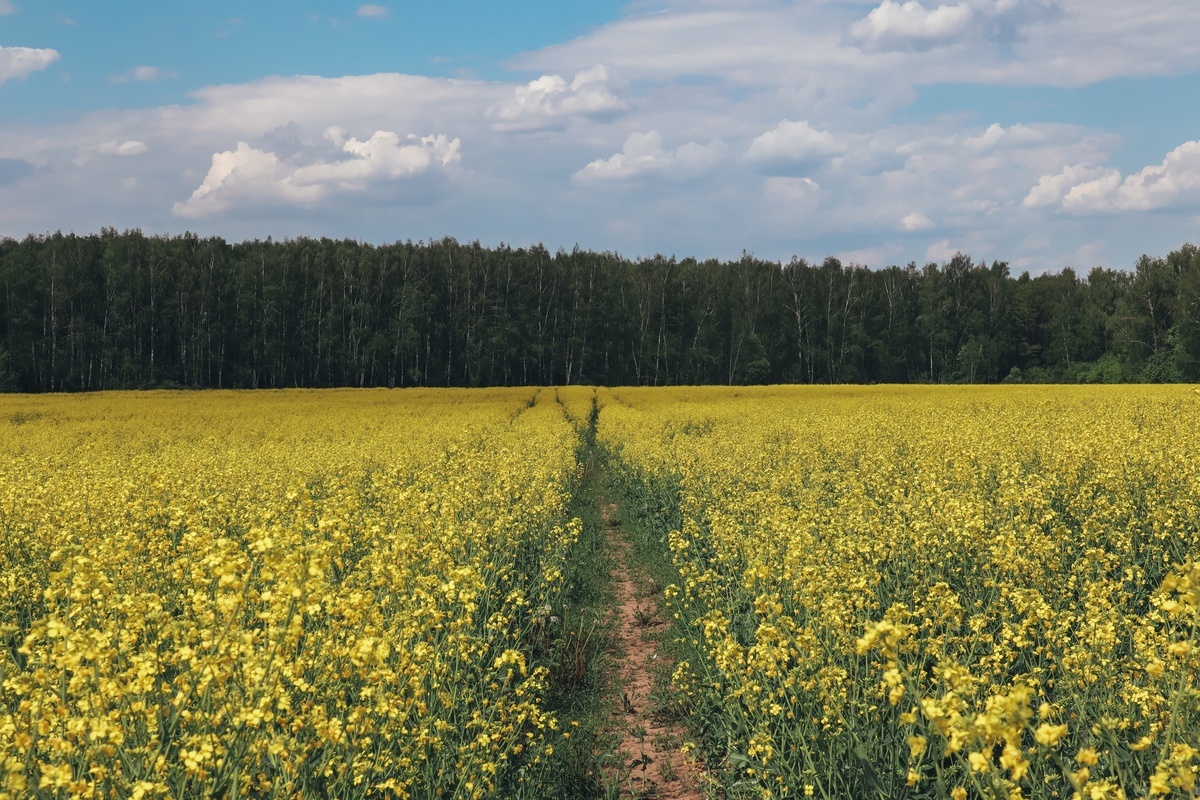 Фото: Екатерина Соколова
