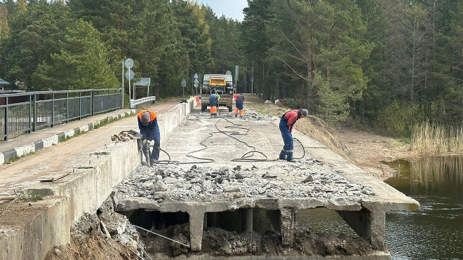 Фото: Dorogi_lo/telegram