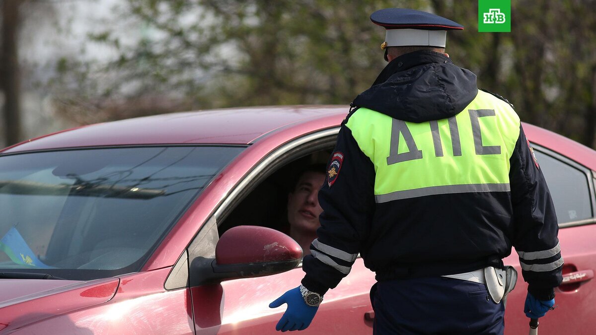    Фото: РИА Новости © 2025, Виталий Тимкив