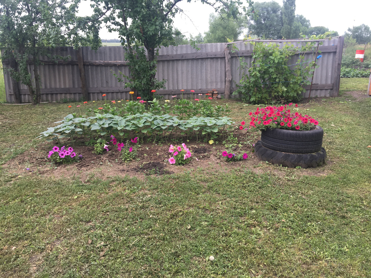 Прошлогодняя клумба