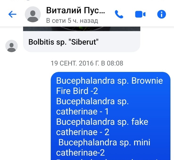 Заказ в 2016 году