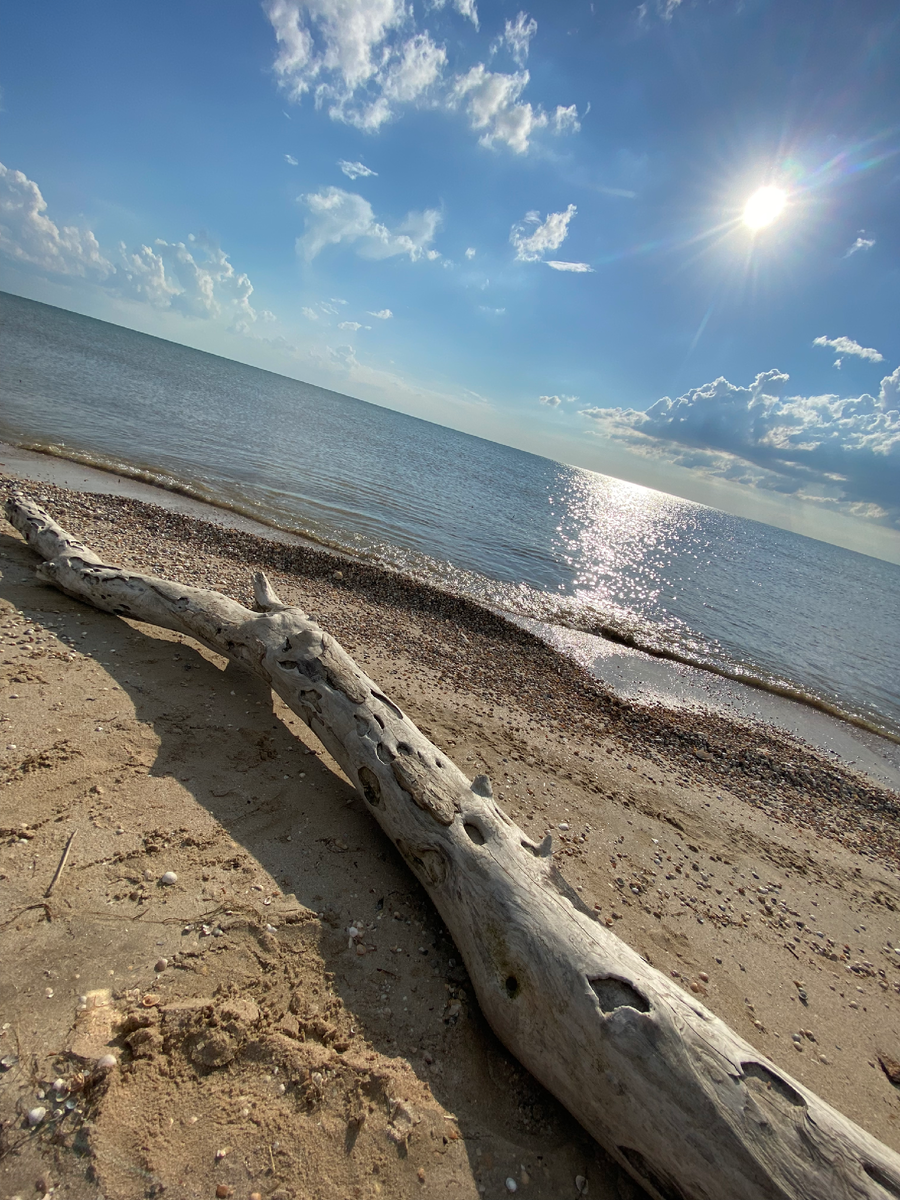 Море прекрасно