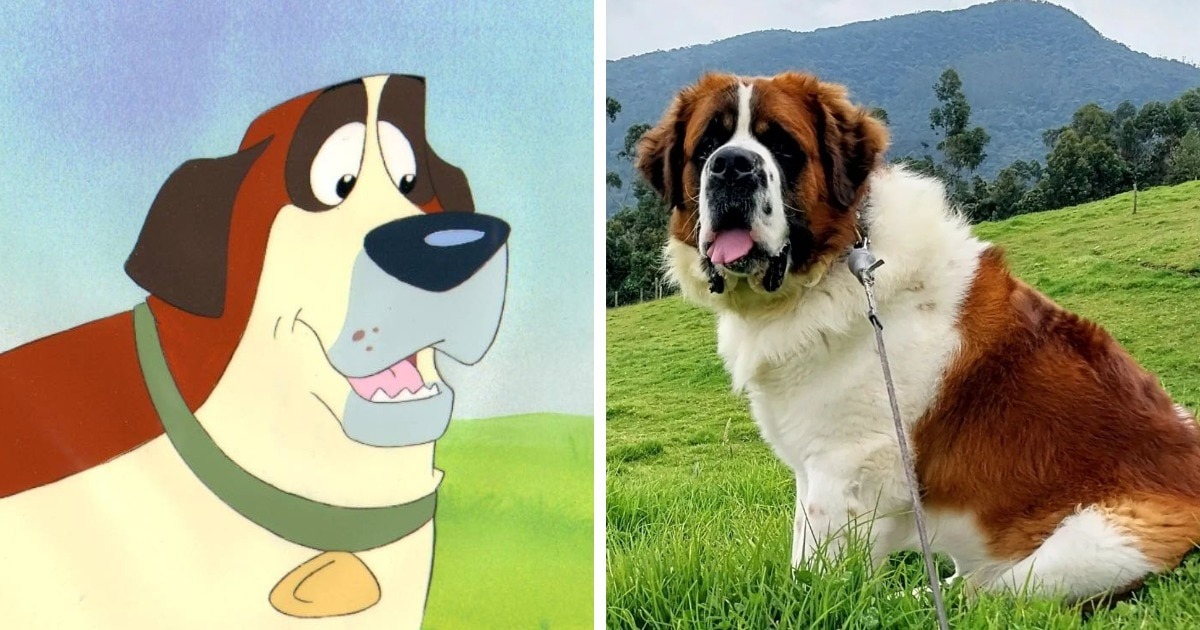 NBCUniversal Television Distribution / patrikeevatanya