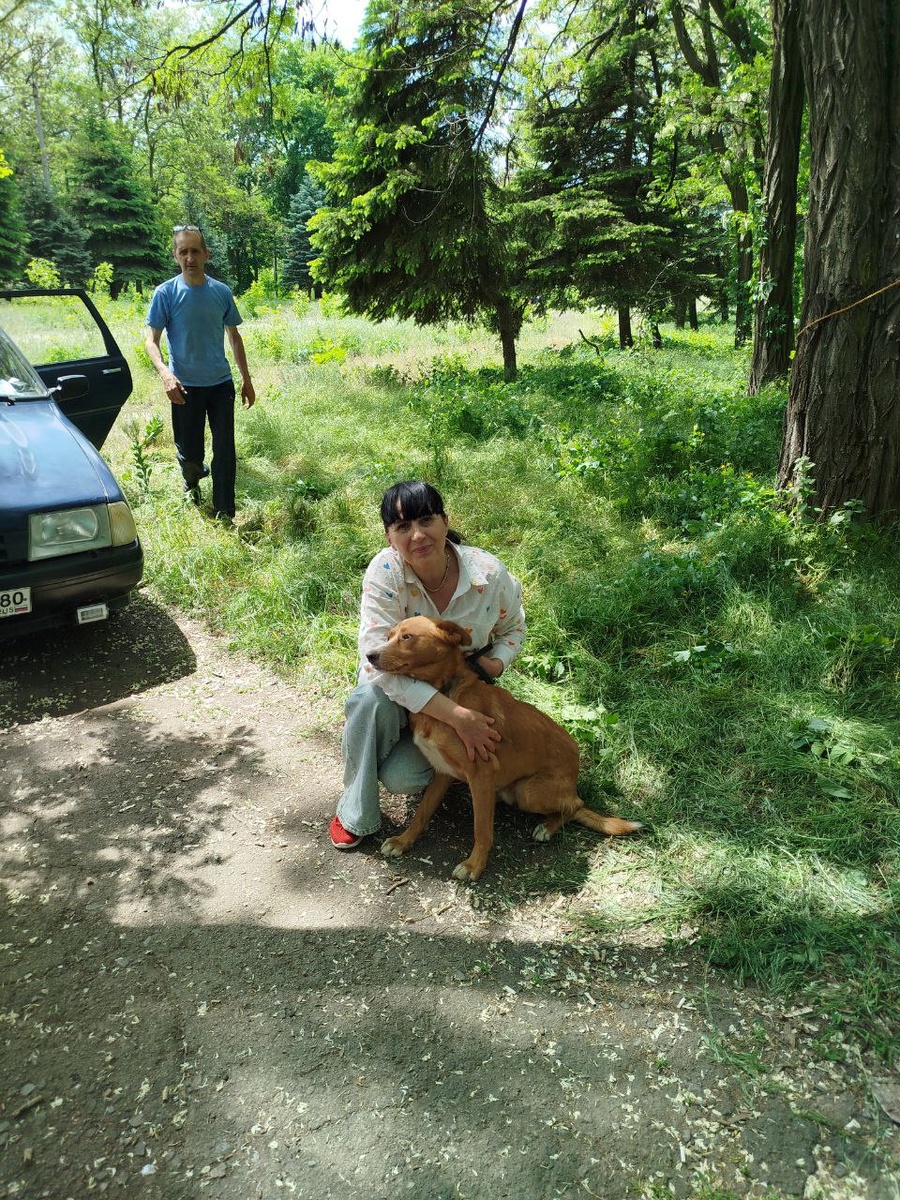 Неожиданная встреча с Боцманом