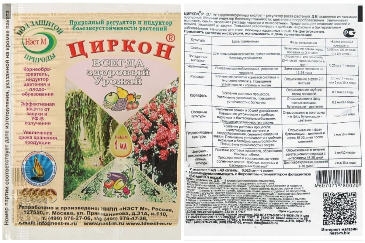 Рисунок 1 - Циркон.