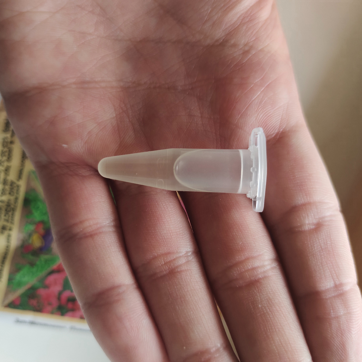 Рисунок 2 - Ампула. 