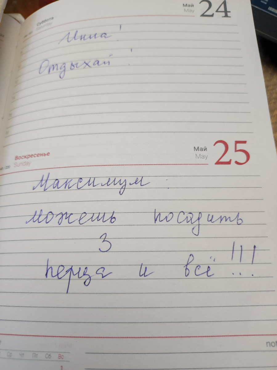 Вот такой план на выходные. 