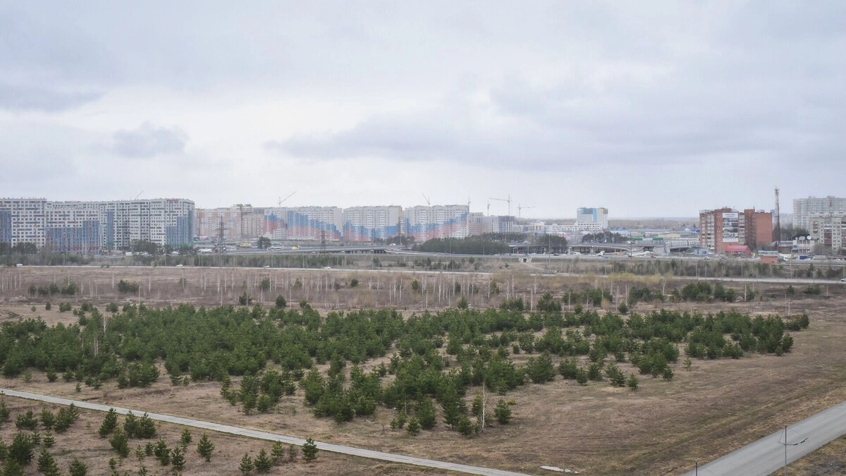     Источник: 1MI