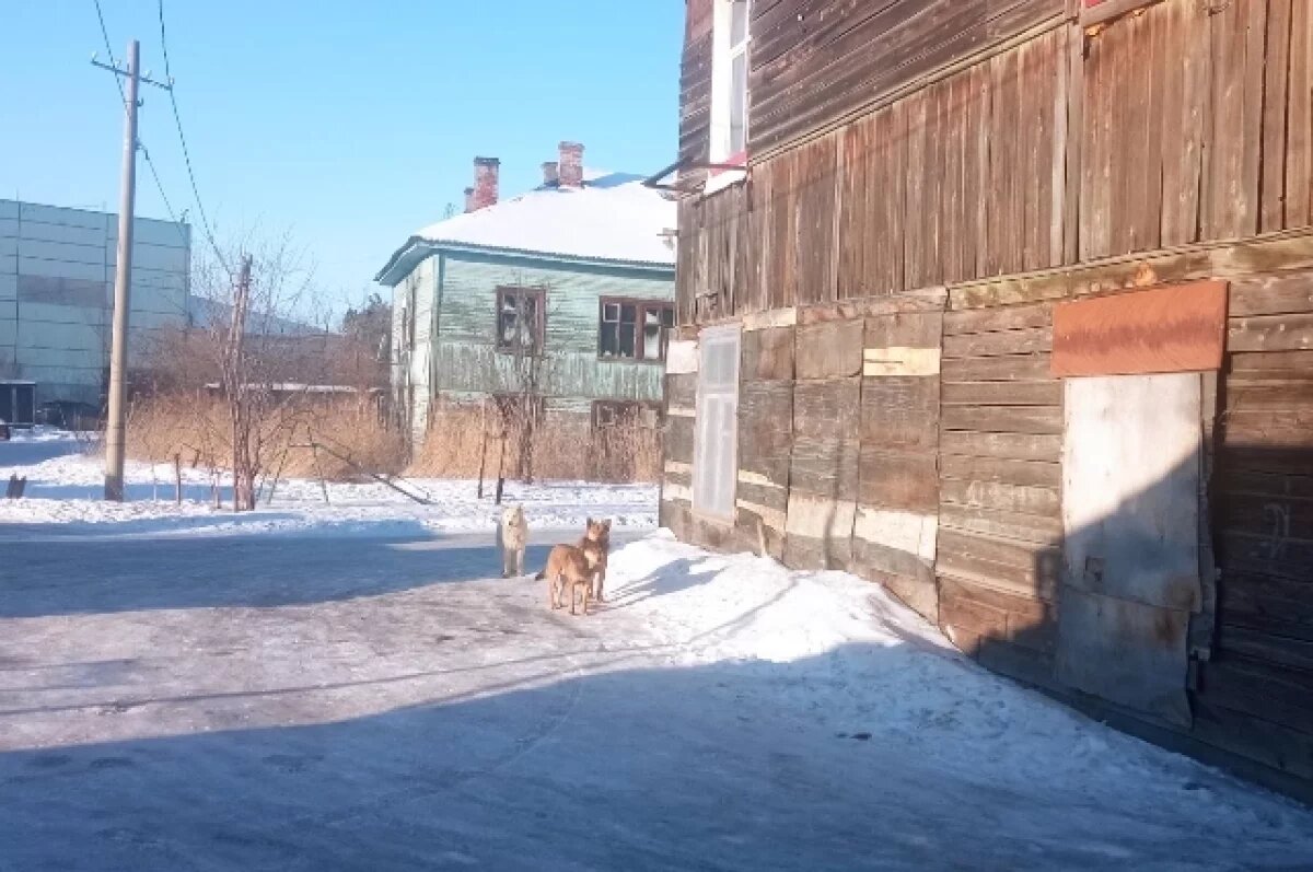    СК России по ЯНАО проверит задержку расселения аварийного дома в Салехарде