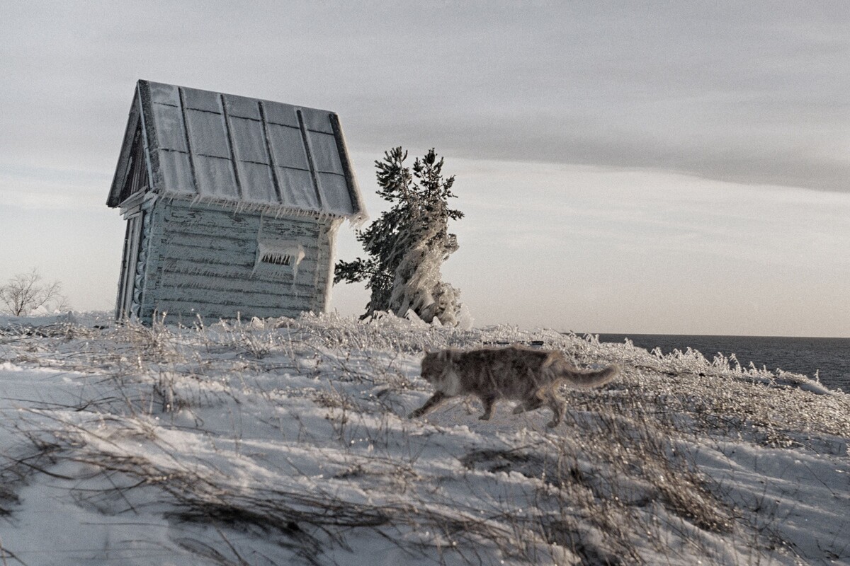 Эта непонятная картинка как раз по теме статьи