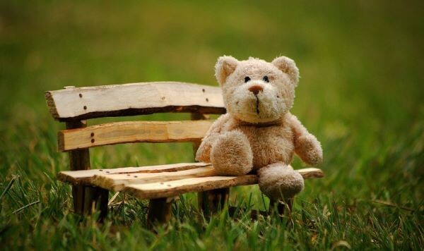    Фото: pixabay.com / cablemarder Ксения Евдокимова