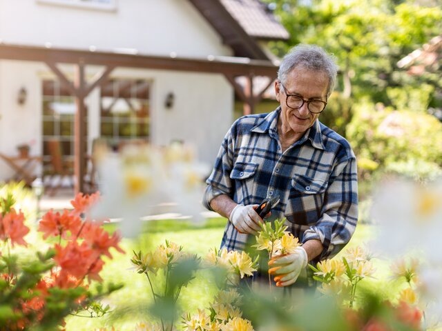   Фото: 123RF/piksel