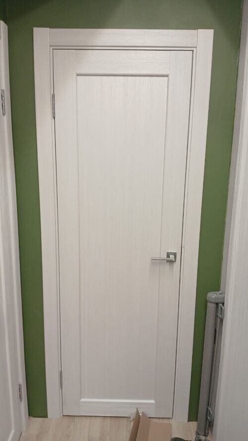 Дверь в покрытии экошпон