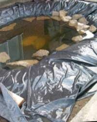 устройство пруда