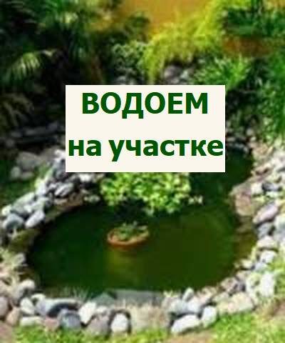 украшаем водоем