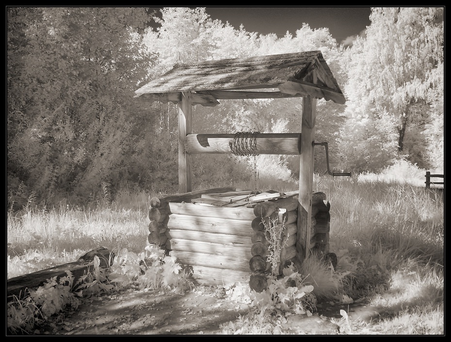 фото из интернета