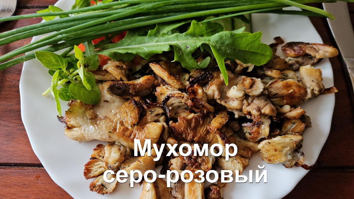 Грибы - диетическая пища