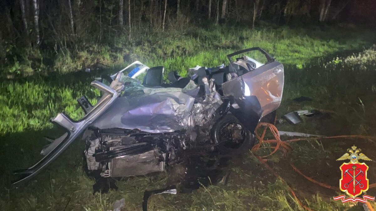    Фото: t.me/spb_police78