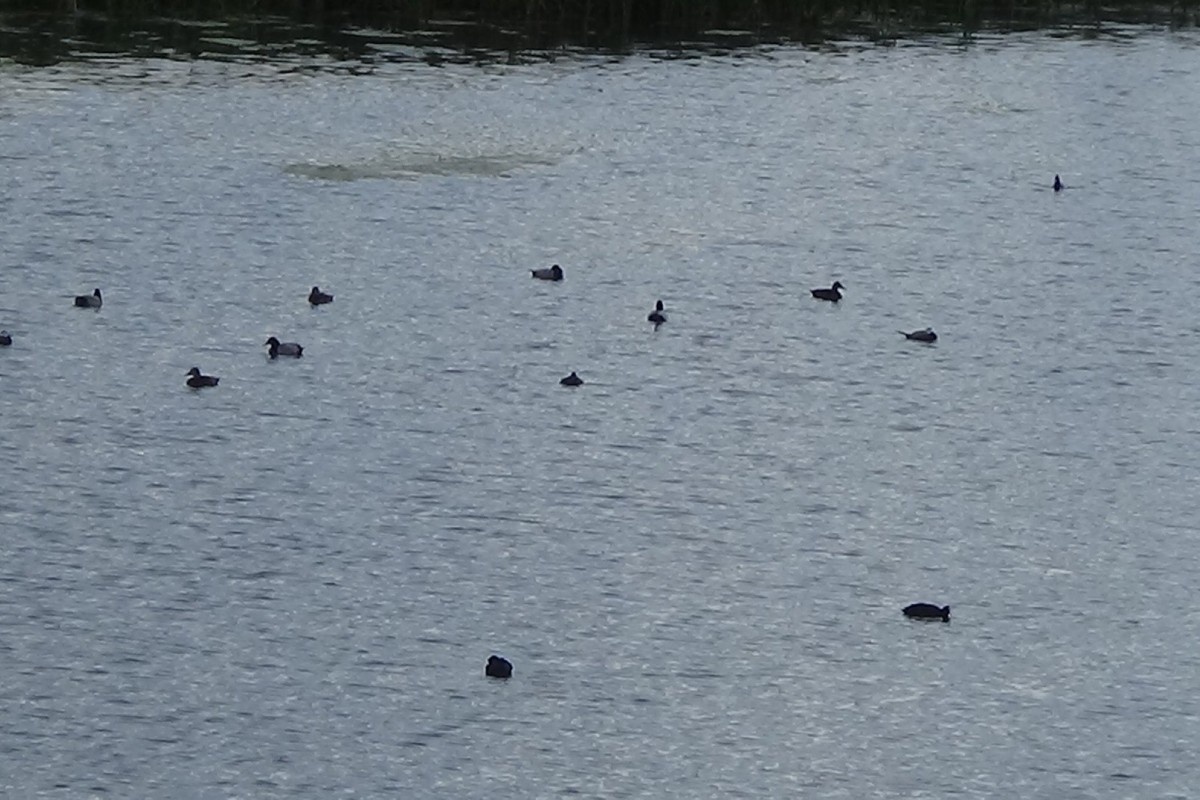 Фото: турецкая газета Daily Sabah