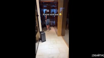 Умный робот-чемодан изо всех сил пытается следовать за владельцем.