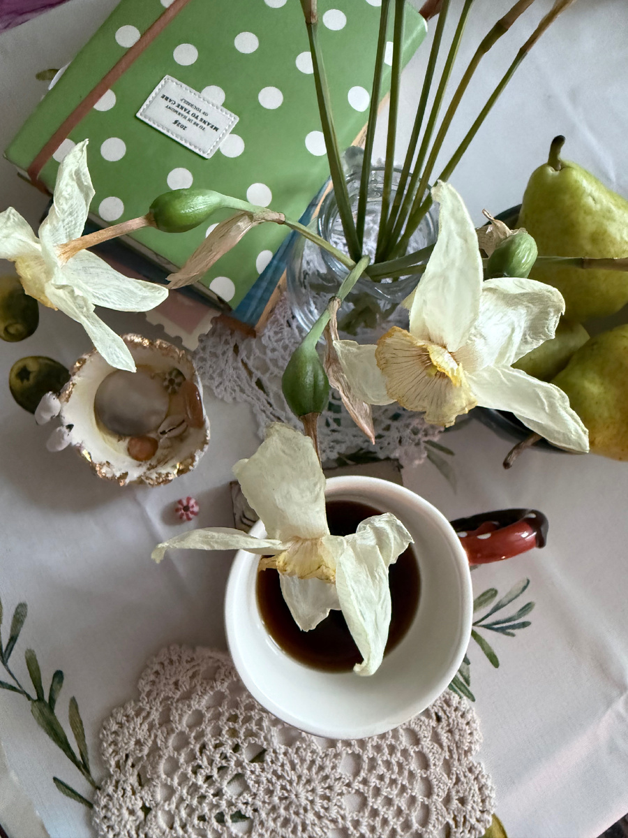 Мои нарциссы , уже сухие, но мне так они нравятся !