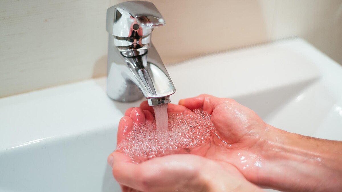    Фото: freepik.com/wirestock