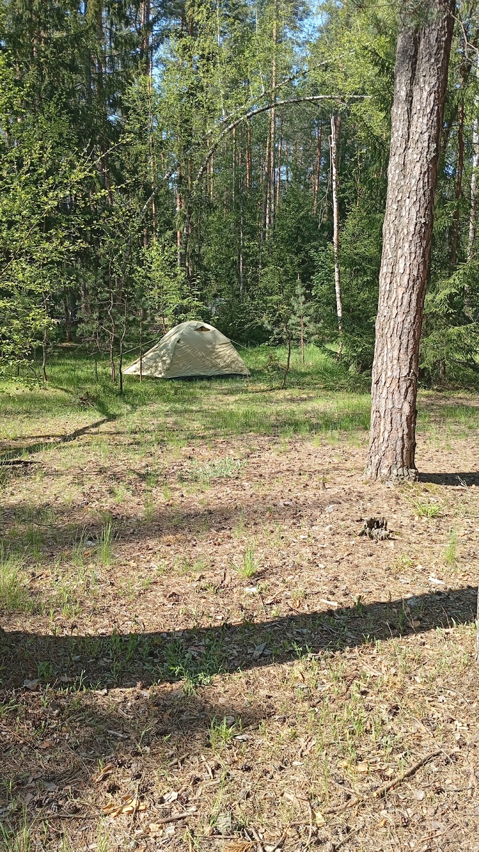 Одинокая палатка автора