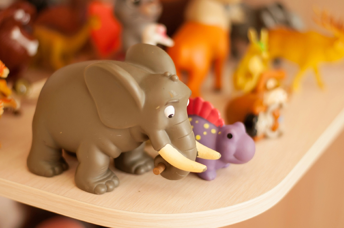 Личное фото