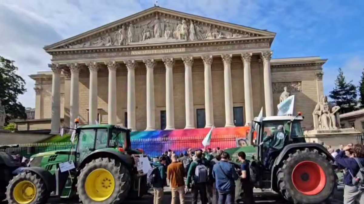    Фото: Скриншот видео РИА Новости