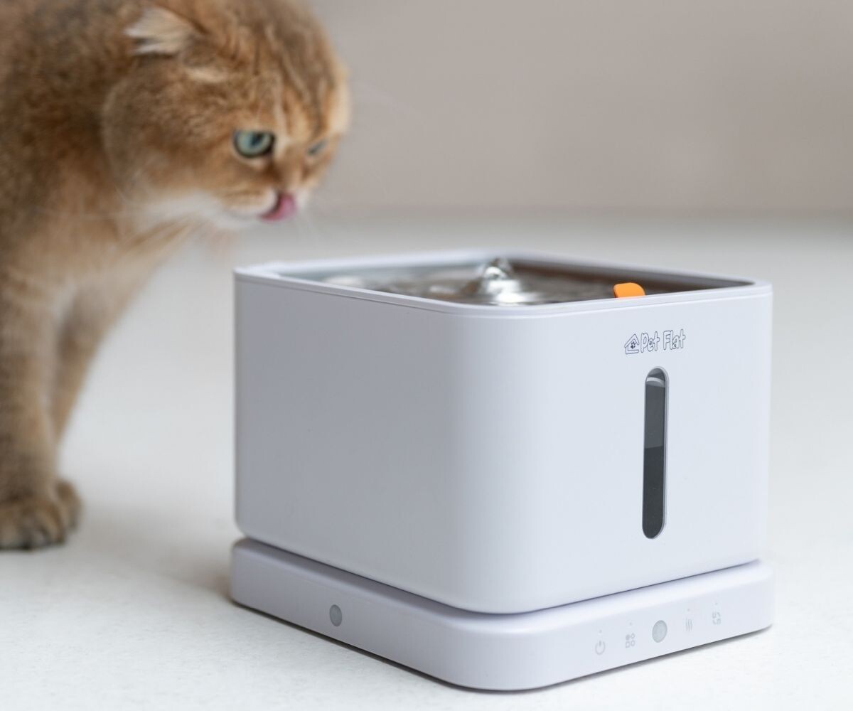 Котик пьет воду из фонтанчика Aqua Pro