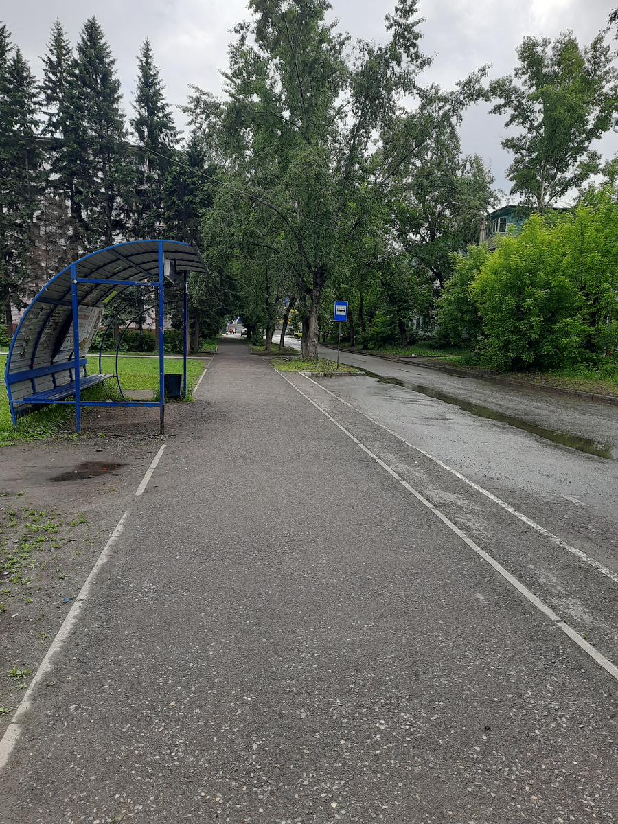 После дождя