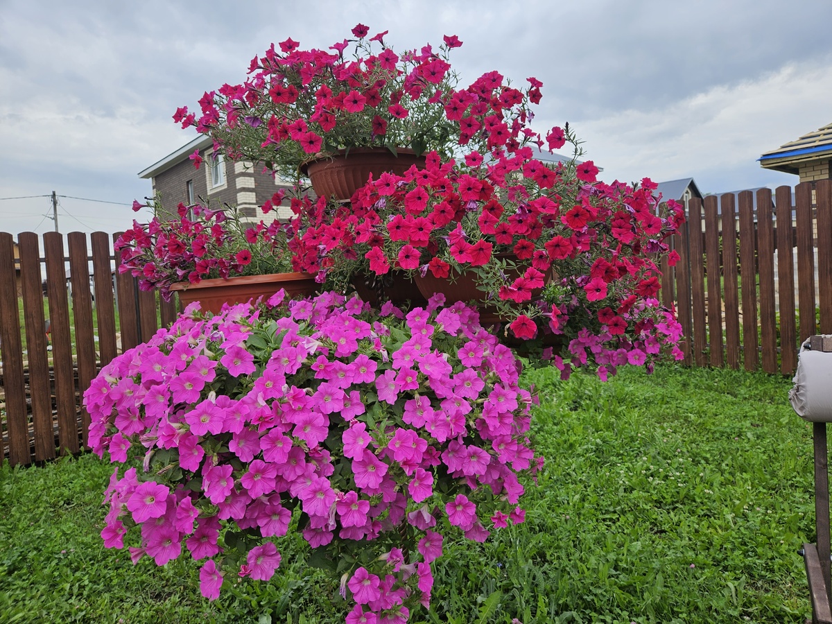 Ну красота же?