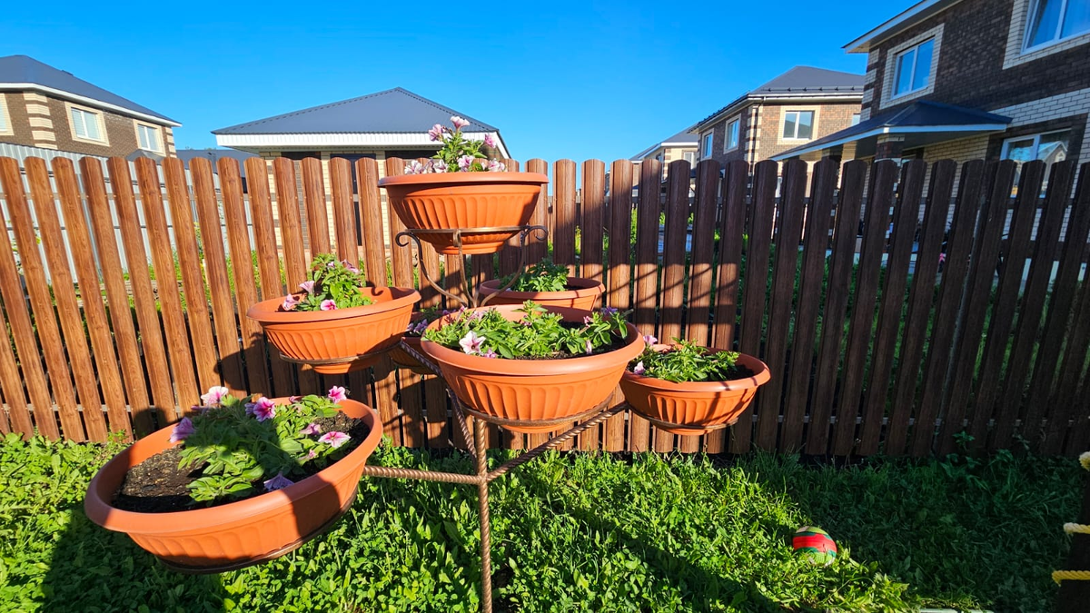 Поначалу это будет выглядеть так: огромные кашпо и малюсенькие петунии...